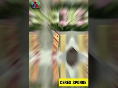 Ceres viscovita éponge